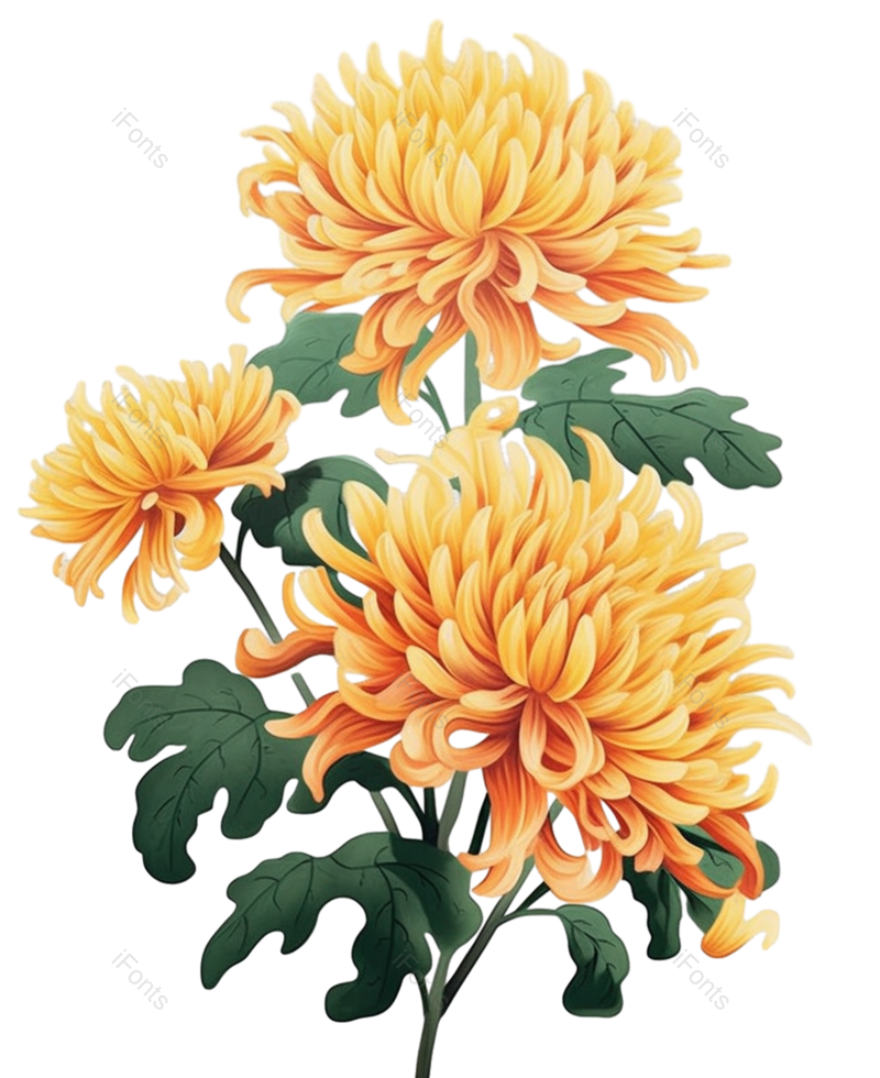 黄色的花图片,白色背景元素,灰色背景PNG,免抠素材